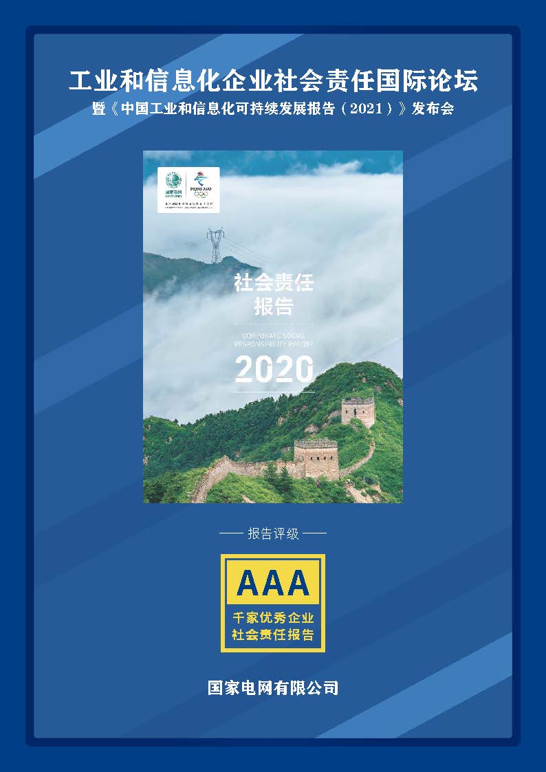 《国家电网有限公司社会责任报告2020》AAA